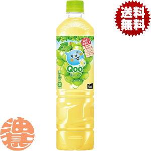 w2P[XIxinjRJER[ RJR[ ~jbcCh Qoo Ԃǂ 950mlybg{g×2P[X24{(1P[X12{)N[ Ԃǂ Qoo ԂǂW[X