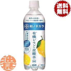 『送料無料！』（地域限定）ダイドー 和ノチカラ 有機レモン使用炭酸水 500mlペットボトル（24本入り1ケース）炭酸飲料 スパークリング 栄養機能食品※ご注文いただいてから4日〜14日の間に発送いたします。/ot/