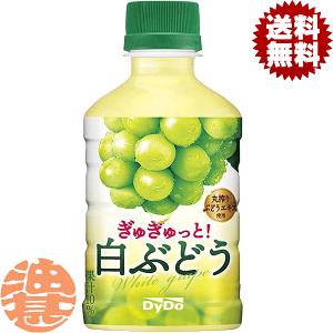 w3P[XIxinj_Ch[ ガƁI Ԃǂ 280mlybg{g×3P[X72{(1P[X24{)Ԃǂ@ʏ`Ă4`14̊Ԃɔ