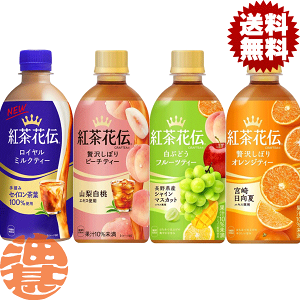 wIxinjIׂ48{IRJER[ RJR[ gԓ` ~NeB[ s[`eB[ Ԃǂt[ceB[ IWeB[440mlybg{g (24{×2P[X) m