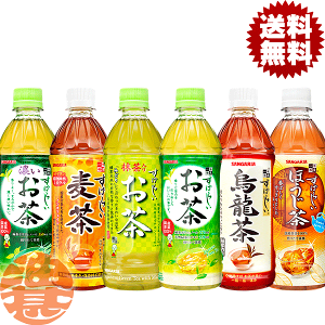 wIxinjIׂ48{ITKA ΂炵  G 肨 Z ق 500mlybg{g (24{×2P[X) Β E[  ΂炵 I