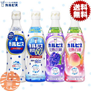 �w���������I�x�i�n�����j�I�ׂ�3�{�I�J���s�X �s�[�X�{�g�� ���t �J�����[60%�I�t ���� ���n���� 470ml�y�b�g�{�g��×3�{�y�R���N ��ߗp ���_�ۈ��� �I���� ���t ���� �s�[�` �O���[�v 