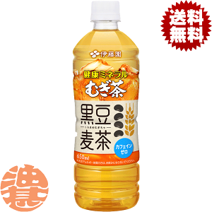 w2P[XIxinjɓ N~lނ  650ml ybg{g×2P[X48{(1P[X24{) VR~l JtFC[@ @ނ