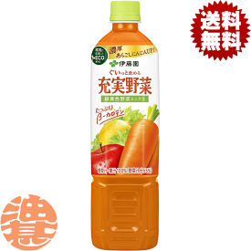『2ケース送料無料！』（地域限定）伊藤園 充実野菜 緑黄色野菜ミックス 740mlペットボトル×2ケース30本(1ケースは15本入り)野菜ジュース 740g すりおろしにんじん/uy/