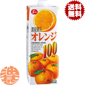 『送料無料！』（地域限定）ジューシー オレンジ100 1L紙パック(6本入り1ケース)1000ml オレンジジュース みかんジュース 果汁100% スクエア容器※ご注文確定後4日〜14日の間に発送いたします。/ot/[qw]