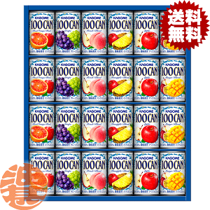 wIxinjJS t[cW[XMtg FB-30Gy100CAN ʏ`100% 160g MtgZbg v[g 蕨  䒆 ̓ Ε Εz[qw]