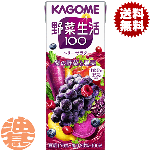 w3P[XIxinjJS@ؐ100 x[T_ 200mlpbN×3P[X72{i24{1P[Xj1H̖ GiW[[c ؃W[XĂ4`14