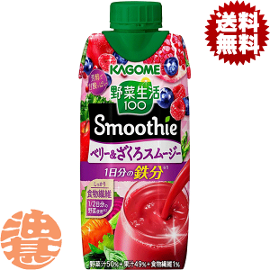 w2P[XIxinjJS ؐ100 Smoothie(X[W[) x[330mlpbN×2P[X24{(1P[X12{)؃W[XĂ4`14̊Ԃ