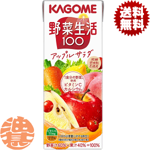 送料無料 通販 激安 アップルサラダ 野菜生活100 カゴメ 200ml×48本 (野菜 紙パック ソフトドリンク