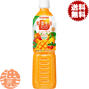 wIxinjJS@ؐ100 }S[T_@̖؁@X}[gPET 720mlybg{gi15{1P[Xj؃W[XĂ4`14̊Ԃɔ