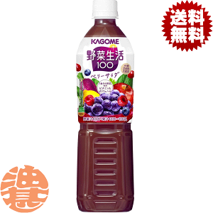 w2P[XIxinjJS@ؐ100 x[T_ X}[gPET 720mlybg{g×2P[X30{i1P[X15{j1H̖ GiW[[c ̖؁