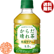 楽天市場】生茶（単品容量（ml）単品：200 ～ 299mL）の通販