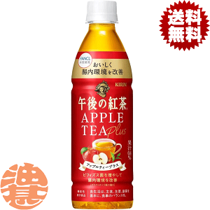 w2P[XIxinjL ߌ̍g AbveB[vX 430mlybg{g×2P[X48{(1P[X24{)PA rtBYX