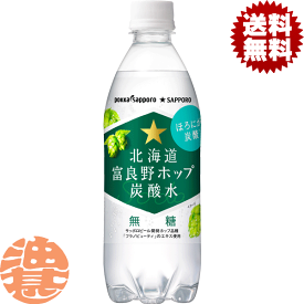 『送料無料！』（地域限定）ポッカサッポロ 北海道富良野ホップ炭酸水 500mlペットボトル（24本入り1ケース）ソーダ 無糖炭酸水 グリーンシャワー