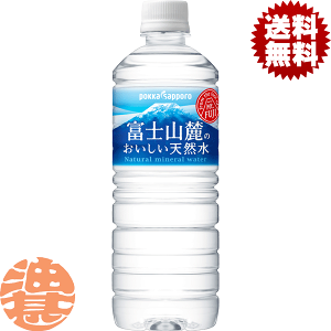 w2P[XIxinj|bJTb| xmR[̂VR 590mlybg{g×2P[X48{i1P[X24{j~lEH[^[ oiWEVR