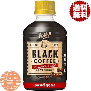 wIxinj|bJR[q[ ubNX[X}Ch 270mlybg{gi24{1P[Xj BLACK |bJR[q[Ă4`14̊Ԃɔ