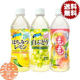 『送料無料！』（地域限定）選べる48本！サンガリア はちみつレモン 白ぶどう もも 500mlペットボトル(24本×2ケース)カロリーオフ 桃 ピーチ はちれも オレンジジュース 選り取り※ご注文確定後4日〜14日の間に発送。/sg/