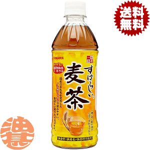 wIxinjTKA x ΂炵 500mlybg{gi24{1P[Xj  500ml