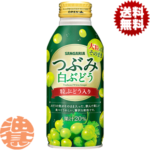 wIxinjTKA@ԂݔԂǂ 380g{gʁi24{1P[XjzCgO[v uhE   ʓ@380ml ԂǂĂ3`14