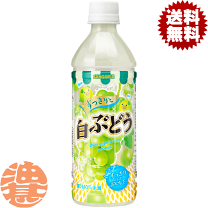 楽天市場】500ml 24本 1ケース ジュースの通販