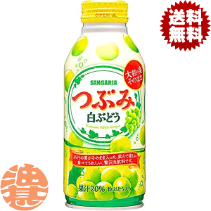 wIxinjTKA@ԂݔԂǂ 380g{gʁi24{1P[XjzCgO[v uhE   ʓ@380ml ԂǂĂ3`14