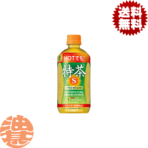 サントリー ホット伊右衛門 特茶 500ml×24本 PET (お茶飲料