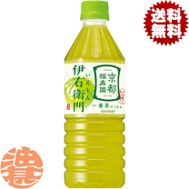 楽天市場】伊右衛門 500ml 1箱 24本入の通販