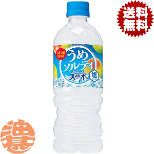 『送料無料!』(地域限定)サントリー 天然水 うめソルティ 540mlペットボトル(24本入り1ケース)540ml 天然水 フレーバーウォーター 梅 うめ ウメ※ご注文いただいてから4日〜14日の間に発送