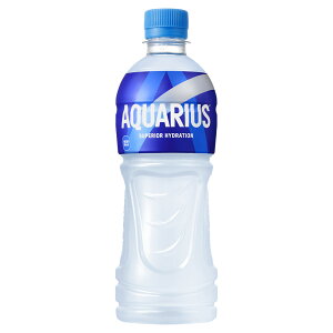 n摗 ANGAX500ml PET × 24{ 1P[X 2P[X960~iόɓXɂĒlĂ܂j Coca-Cola RJER[