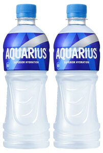 2P[XZbg n摗 ANGAX500ml PET × 24{ 1P[X ×248{Zbg Coca-Cola RJER[ l