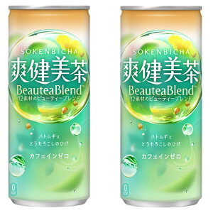 2ケースセット 即納 爽健美茶 245g 缶 × 30本 1ケース ×2箱60本セット 大人買い 地域別送料無料 コカ・コーラ Coca-Cola コカコーラ 245ml