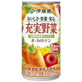 即納 送料込 （地域別・北海道から関東、信越まで） 伊藤園 充実野菜 緑黄色野菜ミックス190g × 20缶 5ケースセット　190g × 100缶