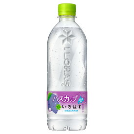 即納 2ケースまとめてご注文で送料無料(ご決済後送料無料に訂正します)1ケースご注文は送料500円です 総額でお得 いろはす I LOHAS ハスカップ 540ml × 24本 北海道限定 コカコーラ CocaCola ミネラルウォーター ご当地 いろはすハスカップ　&#9826;