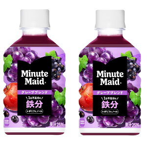  ij 2P[X Zbg ~jbcCh O[vuh S 280ml PET × 24{ ǂ 2 i 48{ jRJER[ cocacola