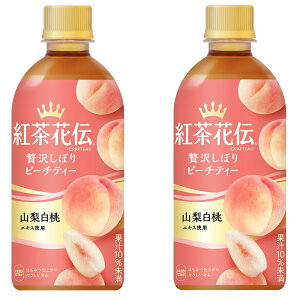 [ 2P[XZbg gԓ`@CRAFTEA NteB[ ґ򂵂ڂs[`eB[ 440ml PET × 24{ {248{Zbg Ԍ RJR[ Coca-Cola l