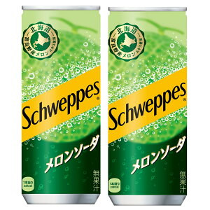 2P[XZbg [ VEFbvX \[_ 250ml×30{ 1P[X ×260{Zbg RJR[ RJER[ CocaCola 250ml n著 l 