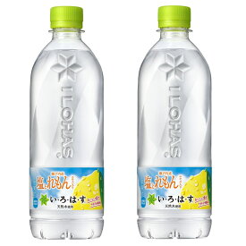 地域限定送料無料 2ケースセット い・ろ・は・す 塩とれもん 540mlPET×24本 ＋2箱48本セット コカコーラ CocaCola コカ・コーラ 期間限定 人気商品 大人買い 53474-0000