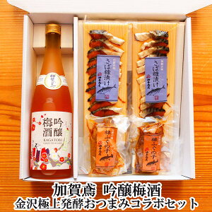 _ oX10N |Cg5{ 290~OFFN[| ^ Ε   ~  ~ ɏ㔭y܂݃R{Zbge a v[g oYj jԂ j Ԃ  