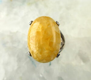 A][I q}S[hA[cCg I[o18mm O 12 H&EЏؖt `̖ڕWL` haz101r001