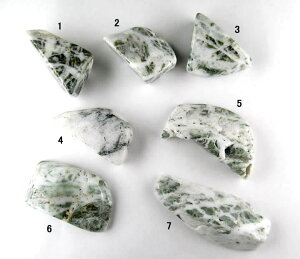 A][I O[t@CAA[cCg  H&EЏؖt Xs`ApbVtC AP~Jȃn[g̐ azgf005