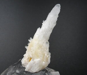 y5%OFFN[| 11/3-5 zA][ITECgA[cCg@VƒňAn̏_̐͂ƒ鋭p[̃A[cCgyHEЏؖtzazsau268