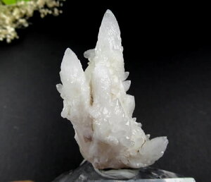 y5%OFFN[| 11/3-5 zA][ITECgA[cCgyHEЏؖtzVƒňAn̏_̐͂ƒ鋭p[̃A[cCg@azsau271