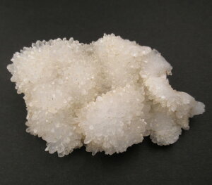 y5%OFFN[| 11/3-5 zA][I TECgA[cCg NX^[ 24g H&EЏؖt VƒňAn̏_̐͂ƒ鋭p[̃A[cCg azsau284