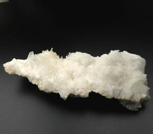 y5%OFFN[| 11/3-5 zA][I TECgA[cCg NX^[ H&EЏؖt Vƒň/n̏_̐͂ƒ鋭GlM[ azsau295