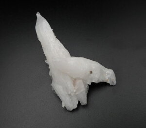 y5%OFFN[| 11/3-5 zA][I TECgA[cCg NX^[ H&EЏؖt Vƒň/n̏_̐͂ƒ鋭GlM[ azsau296