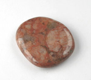 []tBA ^u 8.2g H&EЏؖt A[cCgƓʂȋqd̏_\tBA̐ roso101