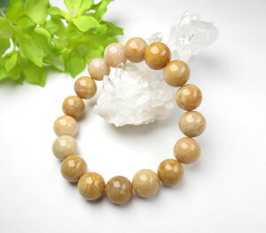 R[ 10`11mm uXbg X ^ȐS p[Xg[ Bcoral001