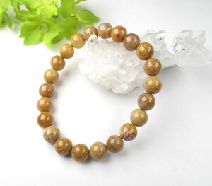 R[ 8mm uXbg X ^ȐS p[Xg[ Bcoral002