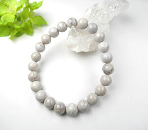 R[ 8mm uXbg X ^ȐS p[Xg[ Bcoral003