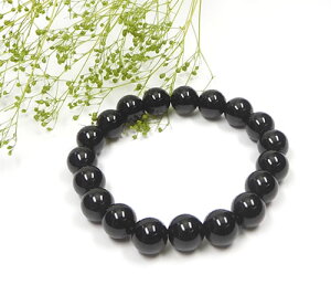 AAAI (  ) 10mm uXbg `xbgY ɂ̔jׂ̐ b1morion011